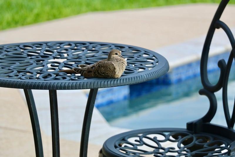 Patio Furniture Makeover