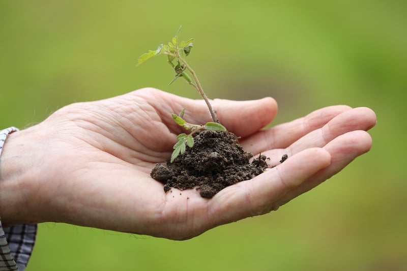 Indoor Gardening
